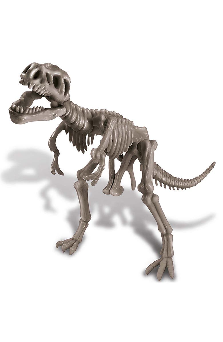 4M KidzLabs Dig A Dinosaur Skeleton, Tyrannosaurus Rex Kit, Alternate, color, Multicolored