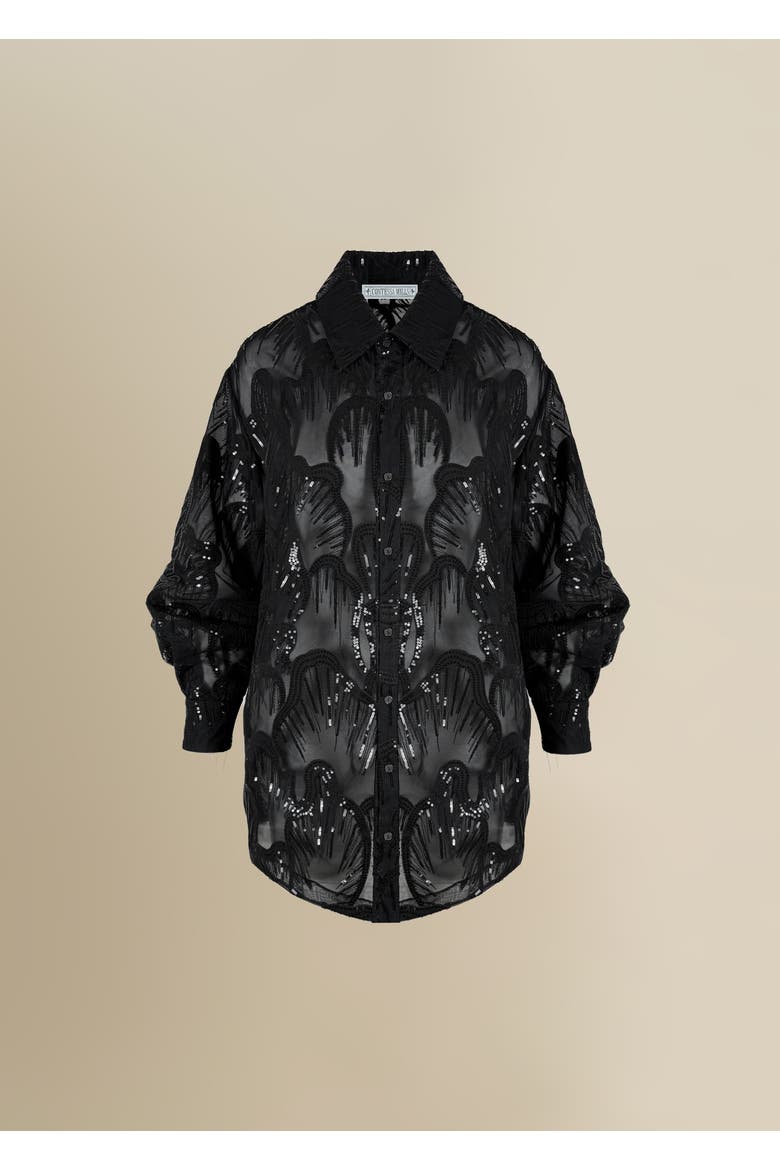 Wicca Sheer Oversized Embroidered Tulle Dress, Main, color, Black