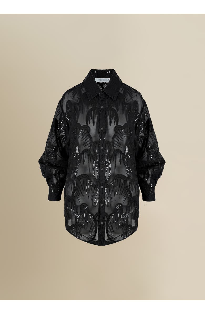 Contessa Mills Wicca Sheer Oversized Embroidered Tulle Dress, Main, color, Black