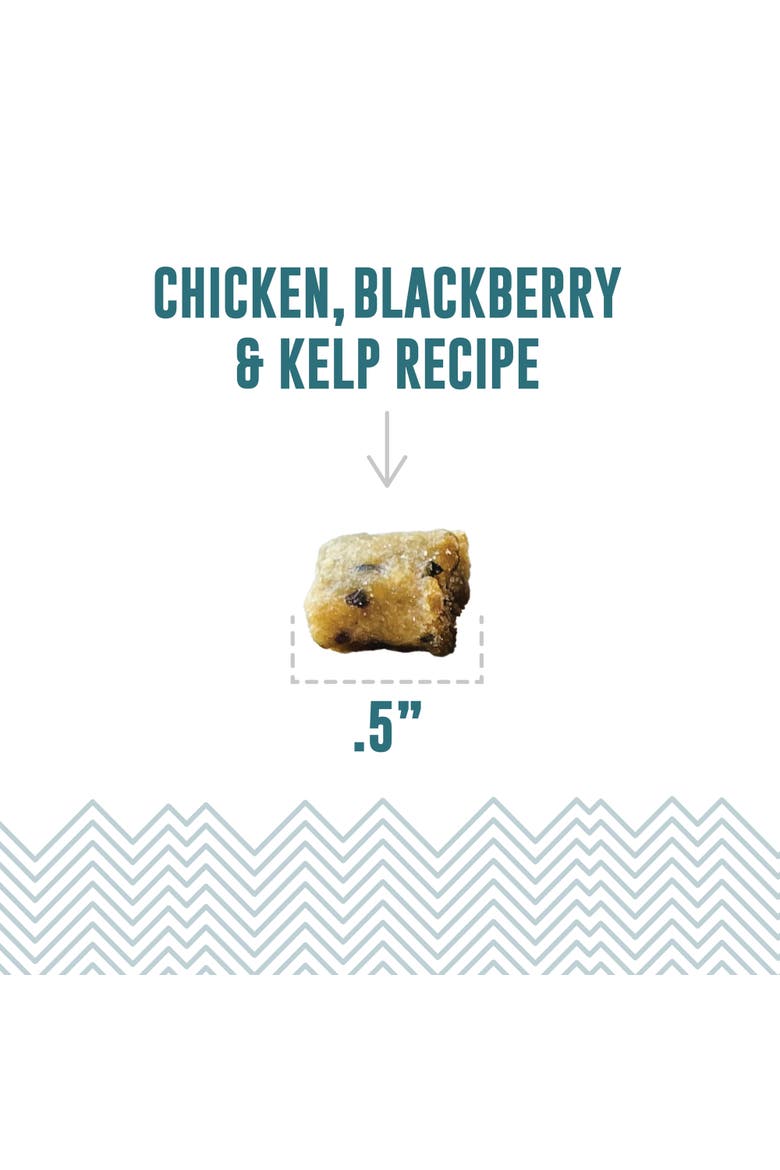 Soft & Chewy Bites, Chicken, Blackberry & Kelp, 1.8oz Cat Treats, Alternate, color, Multicolored