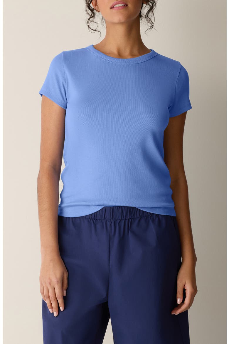 Crewneck T-Shirt, Main, color, CORNFLOWER