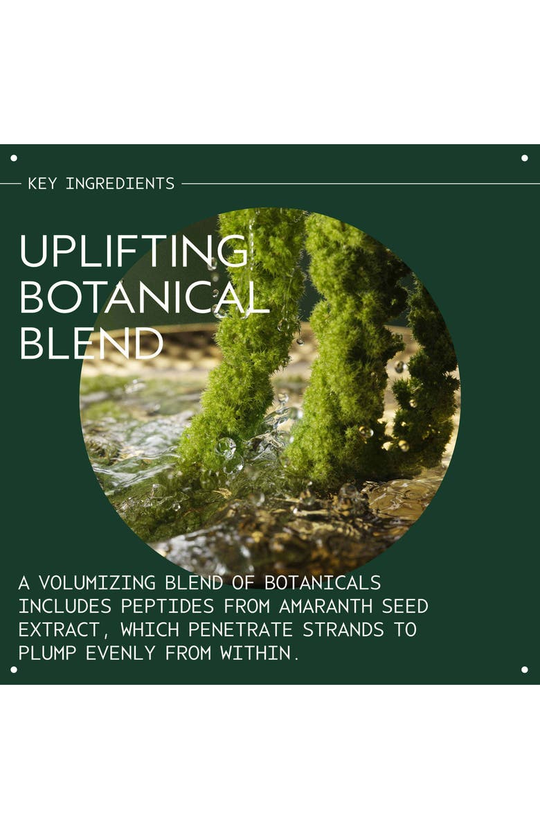 Aveda Pure Abundance Volumizing Style-Prep Volumizing Prep Spray for Fine Her, Alternate, color, 