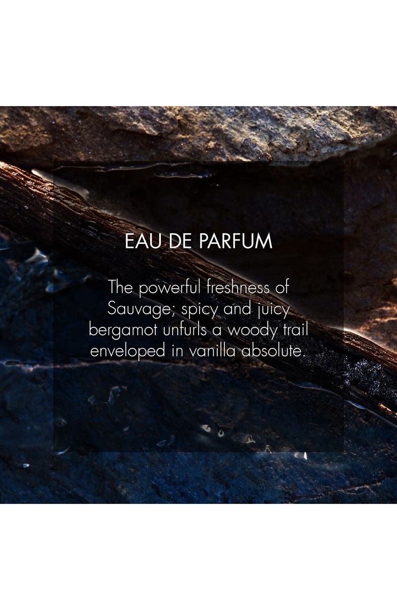 DIOR Sauvage Eau de Parfum, Alternate, color, Regular