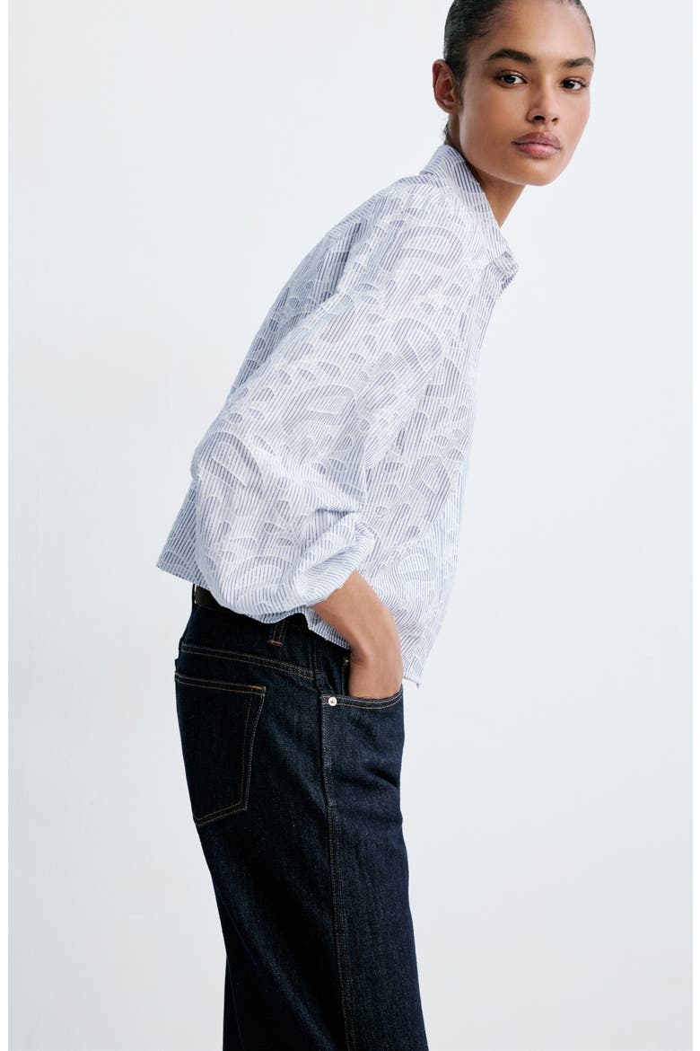 Embroidered Stripe Button-Up Shirt, Alternate, color, SKY BLUE