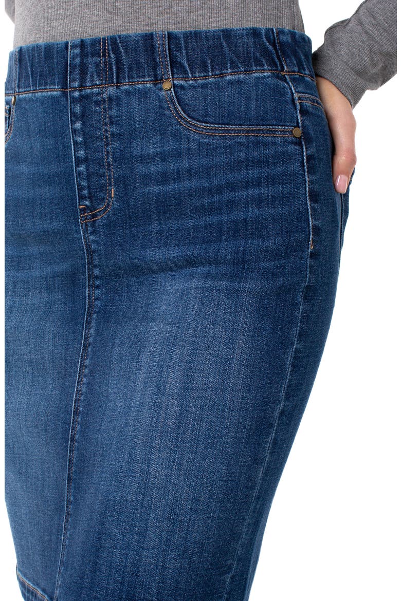 Chloe Denim Pencil Skirt, Alternate, color, CARTERSVILLE
