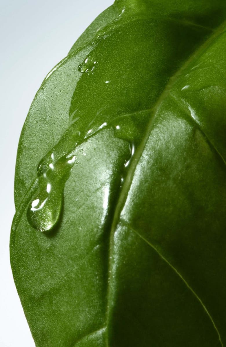 Dries Van Noten Basil & Hinoki Body Lotion, Alternate, color, Regular