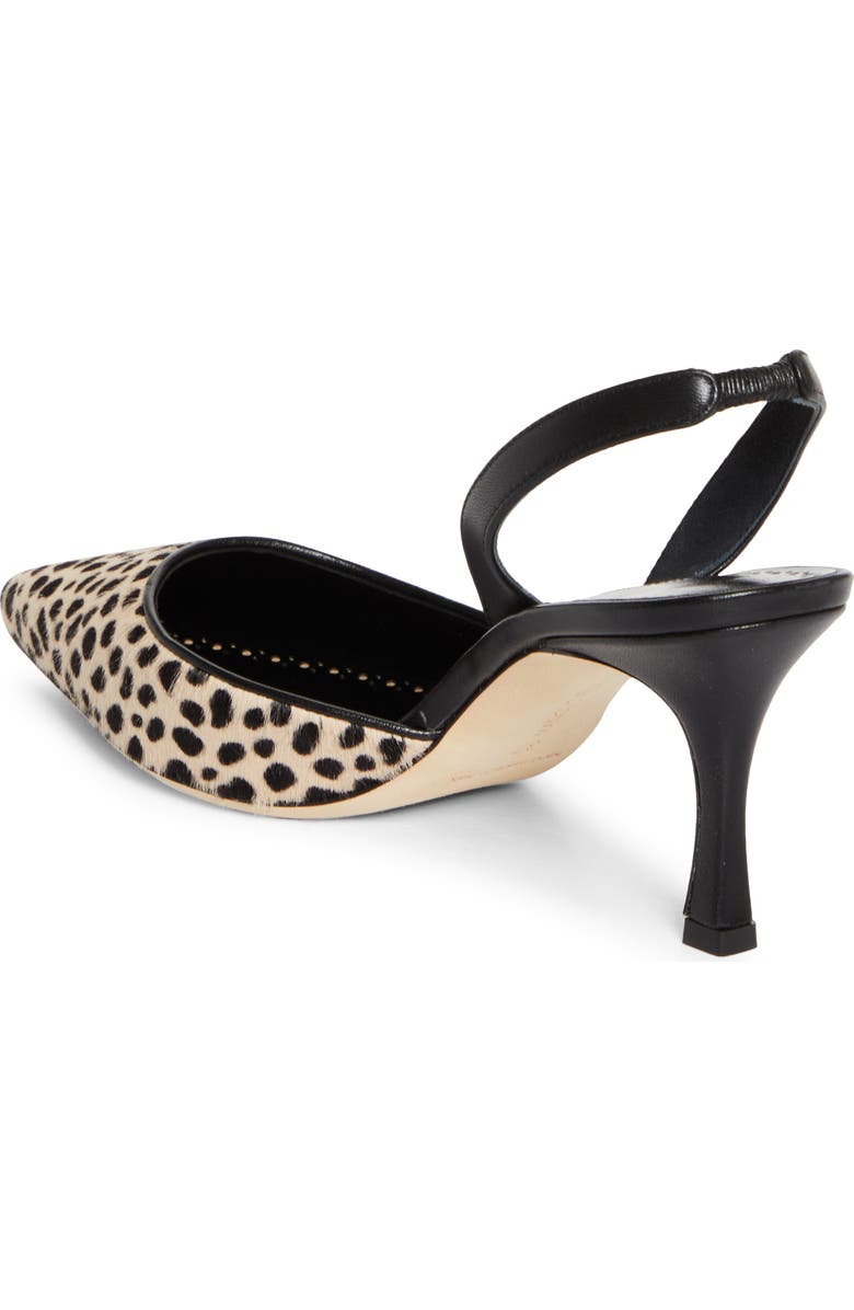 Manolo Blahnik Carolyne Genuine Calf Hair Slingback Pump, Alternate, color, Black/Ivory