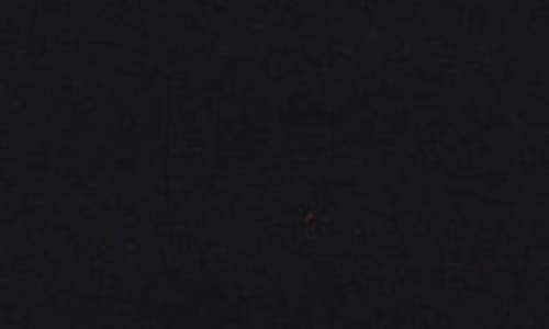 Tiger Mist Kittie High Waist Pants In Black