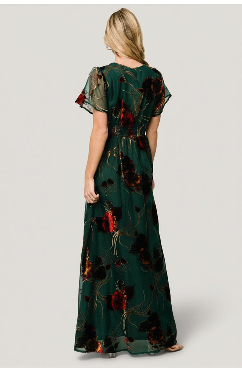 Baltic Born Valen Maxi Dress, Alternate, color, Jade Multi