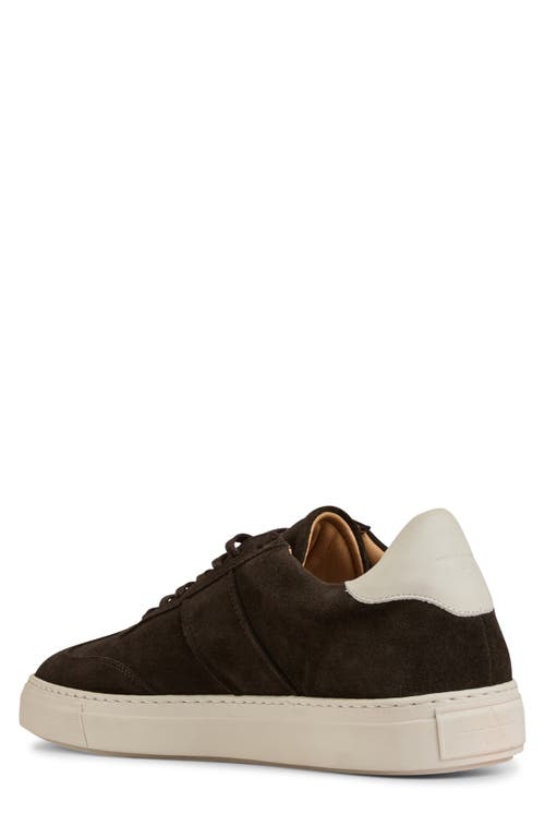 Aquatalia Metro Water Resistant Sneaker In Brown
