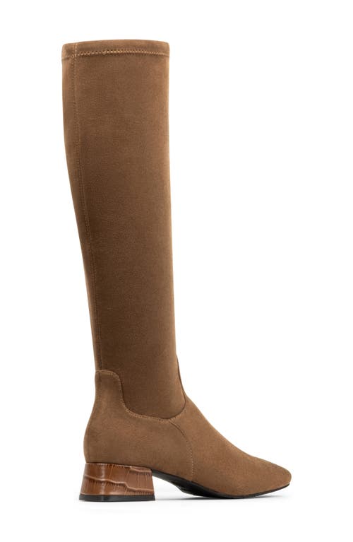 Donald Pliner Regina Knee High Boot In Brown