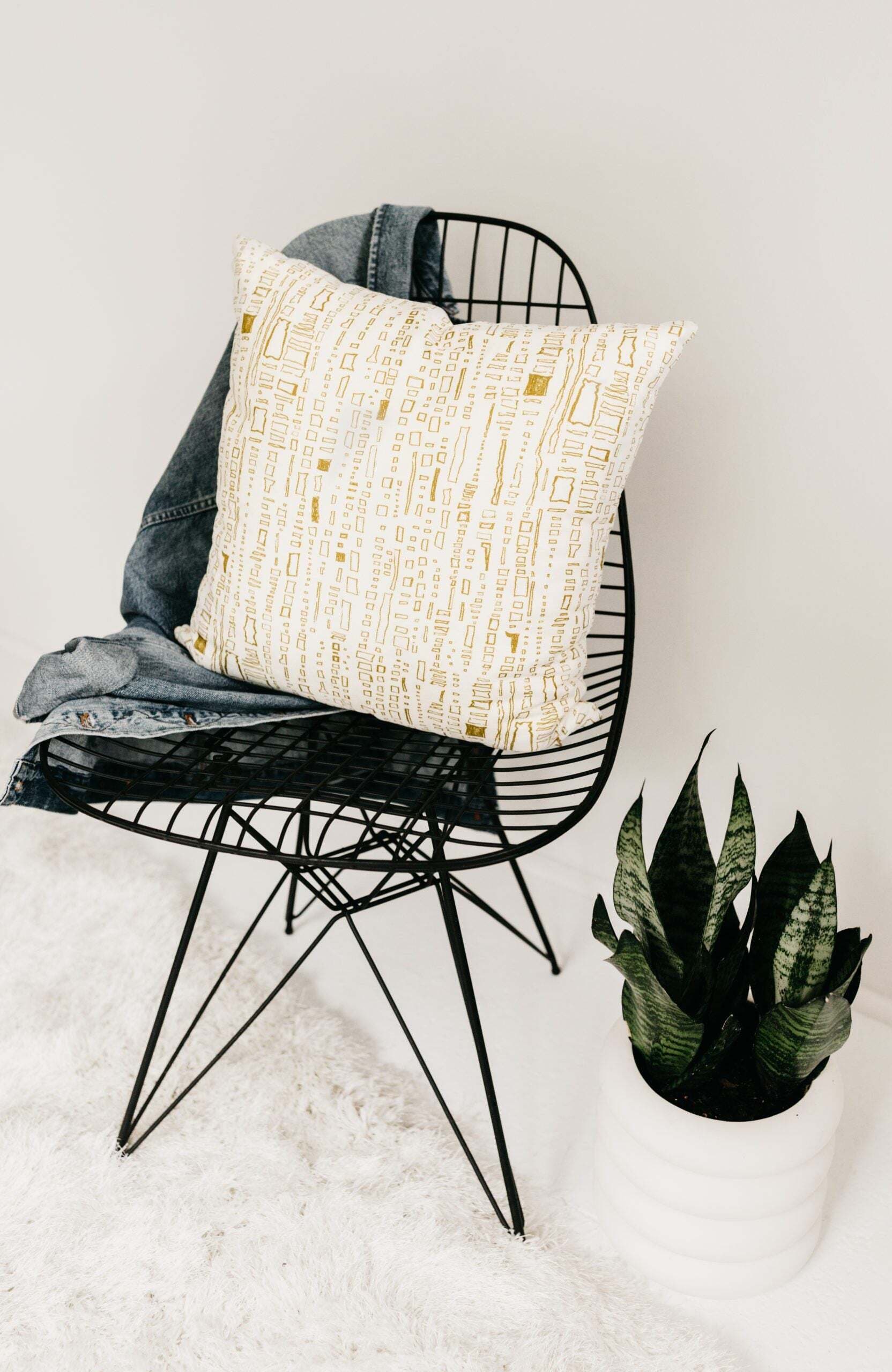 at300nelson Capistrano Pillow