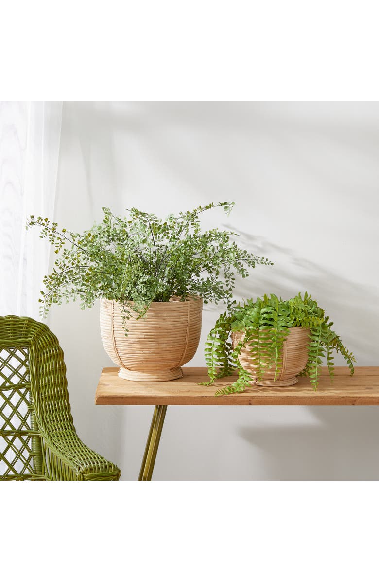 Napa Home & Garden Cane Rattan Decorative Footed Bowls Set of 2, Alternate, color, Brown