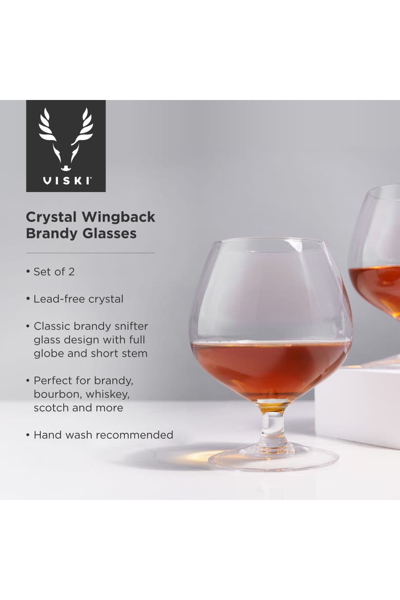 Raye Crystal Wingback Brandy Glasses Set of 2, Alternate, color, Clear