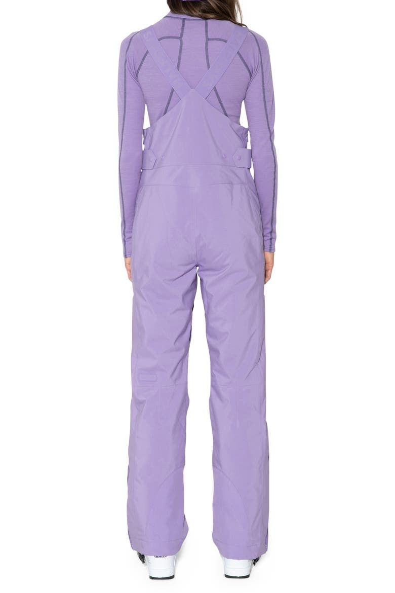 Carson Waterproof Ski Bib, Alternate, color, DISCO