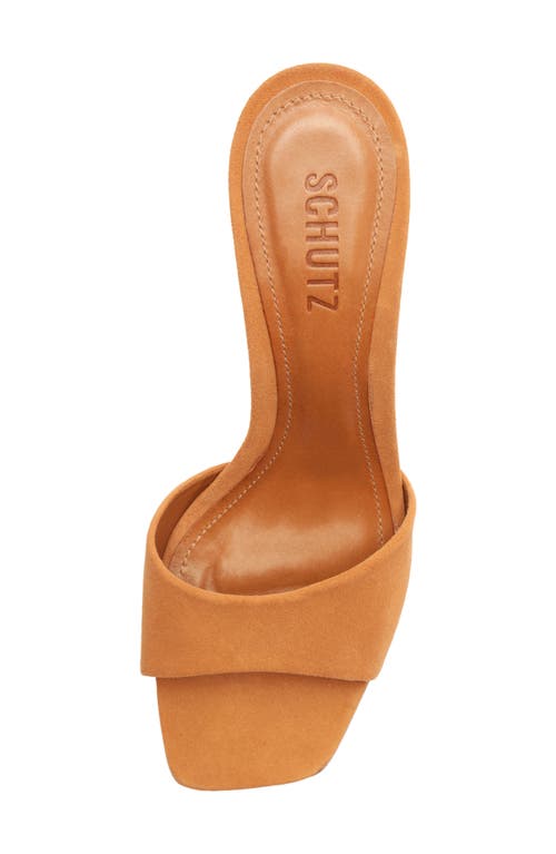 Schutz Posseni Slide Sandal In Brown
