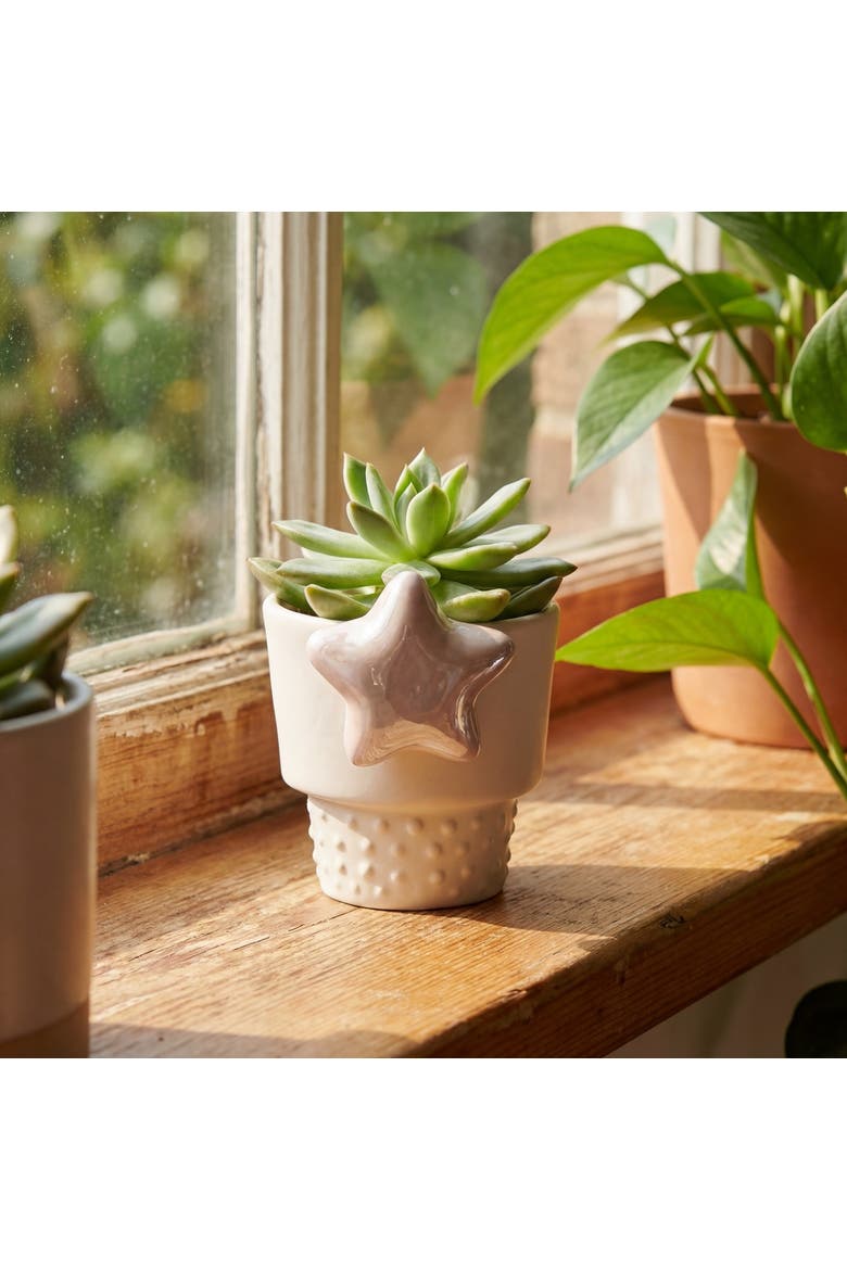 Star Planter Mini Garden Pot White Multi Earthenware 2.53x2.3x3 in, Alternate, color, White