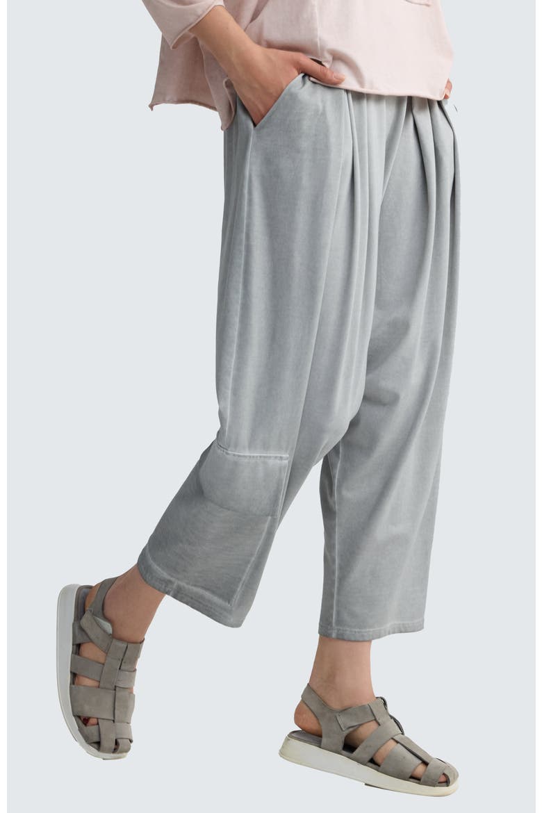 Liore Garment-Dyed V-Shape Pants, Alternate, color, Ash Grey