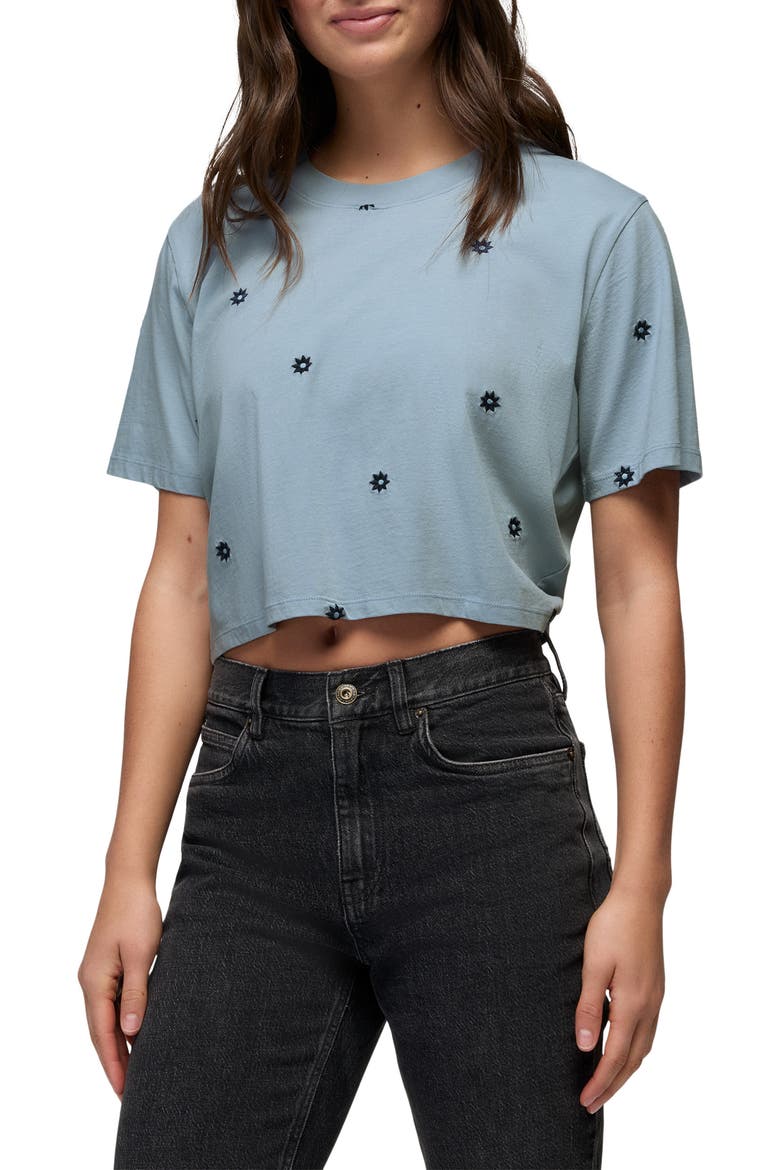 Daisy Embroidered Crop Top, Main, color, GLACIER SKIES