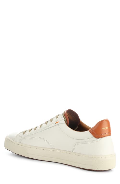 AMBITIOUS AMBITIOUS 12403 LOW TOP SNEAKER