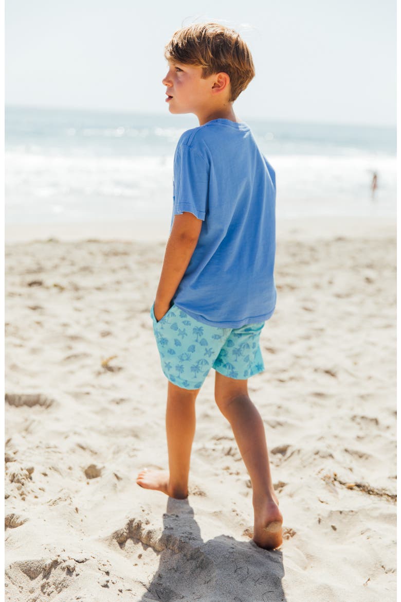 Kids' Volley Swim Trunks, Alternate, color, AQUA CRYSTAL