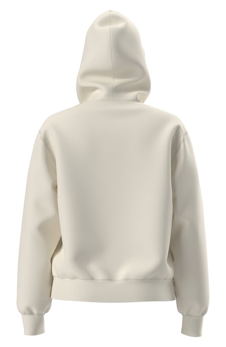 The North Face Evolution Simple Dome Fleece Hoodie, Alternate, color, 