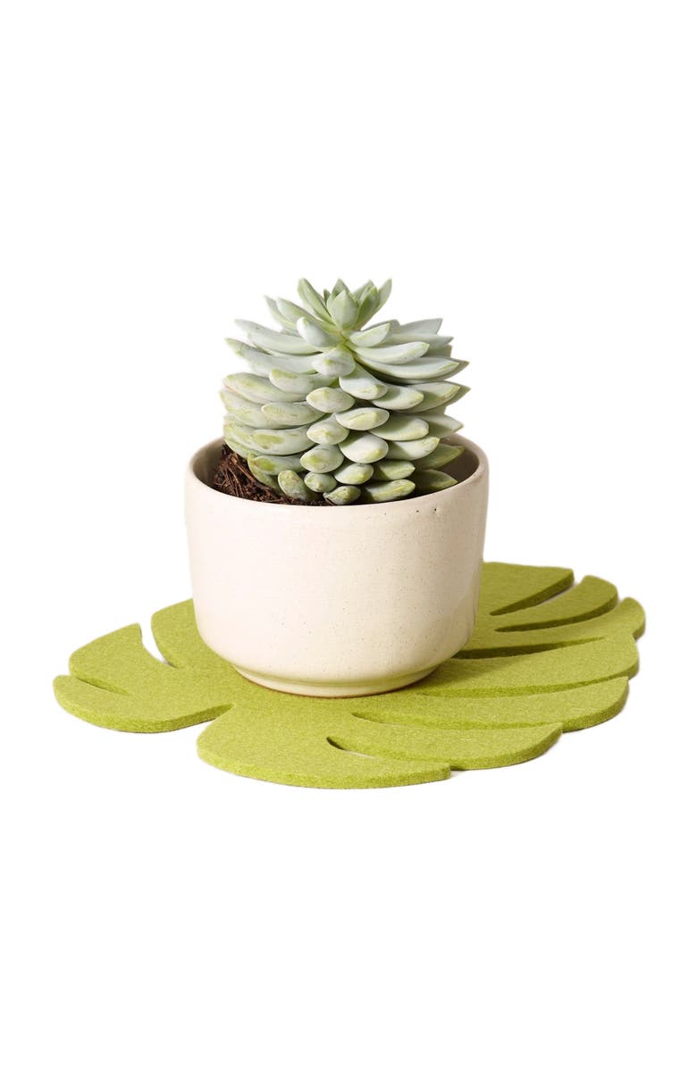 Graf Lantz Merino Wool Medium Monstera Trivet, Alternate, color, Pistachio