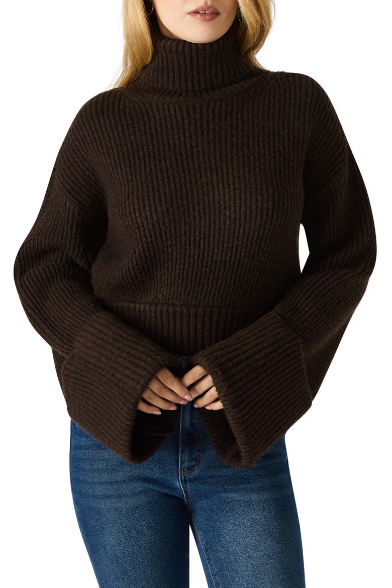 Adelade Turtleneck Sweater, Main, color, DARK ESPRESSO