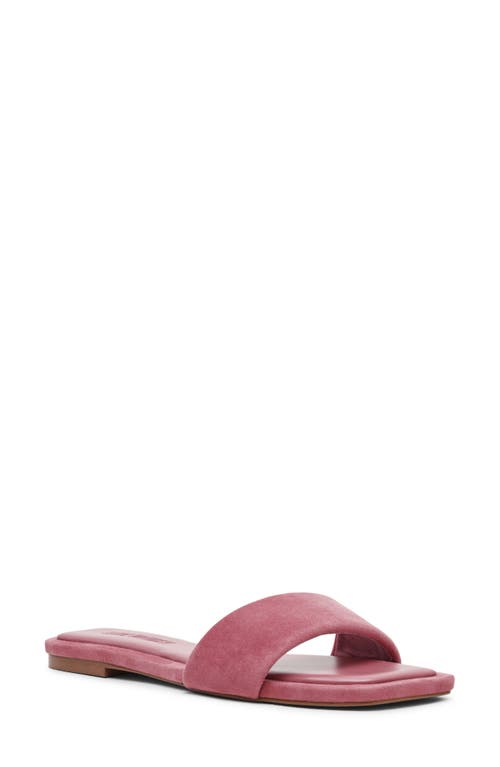 Steve Madden Lumina Slide Sandal In Pink