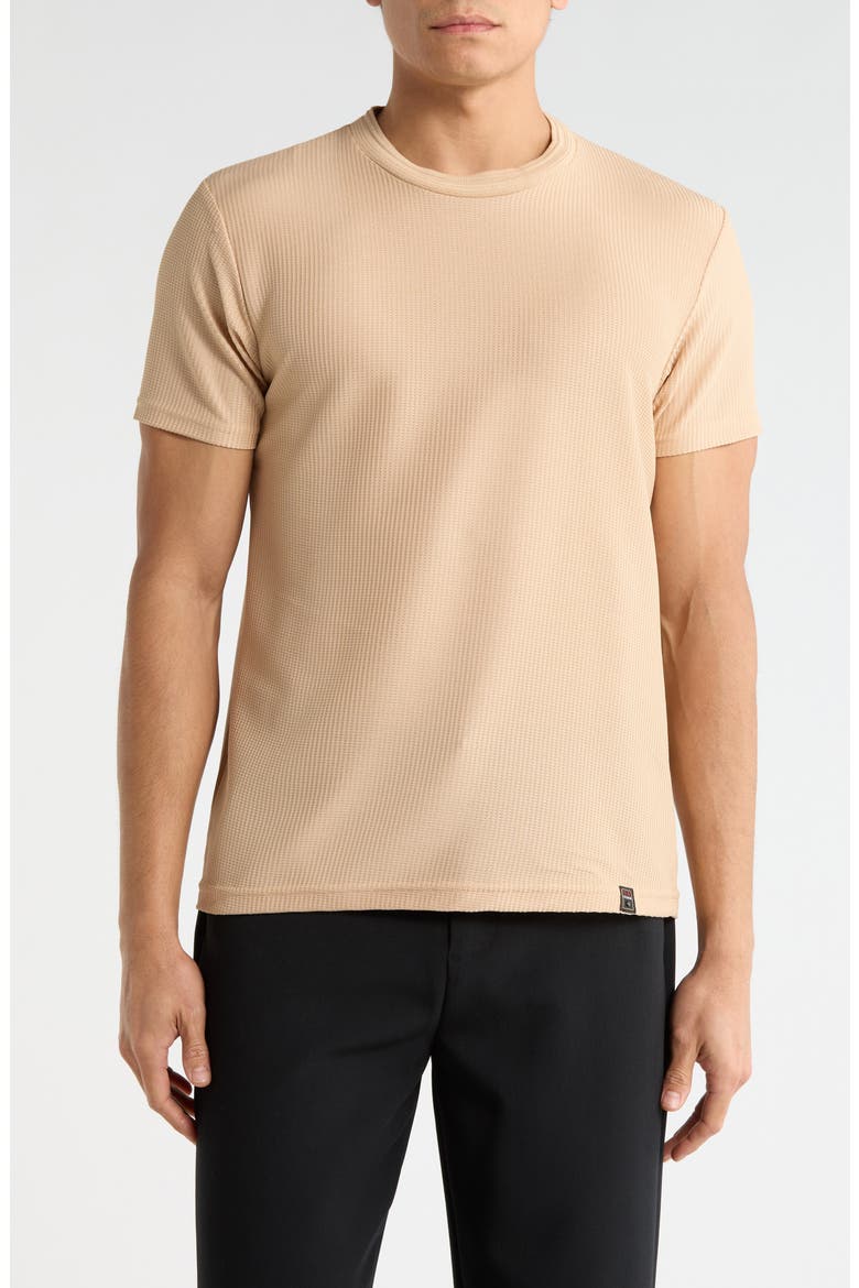 Textured Crew T-Shirt, Main, color, BEIGE