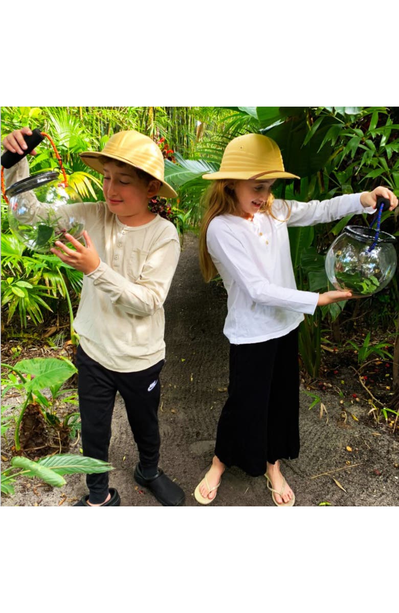 Dry Branch Sports Design Catch & Release Beach Aquarium, Clear Terrarium Orb, Alternate, color, Multicolored