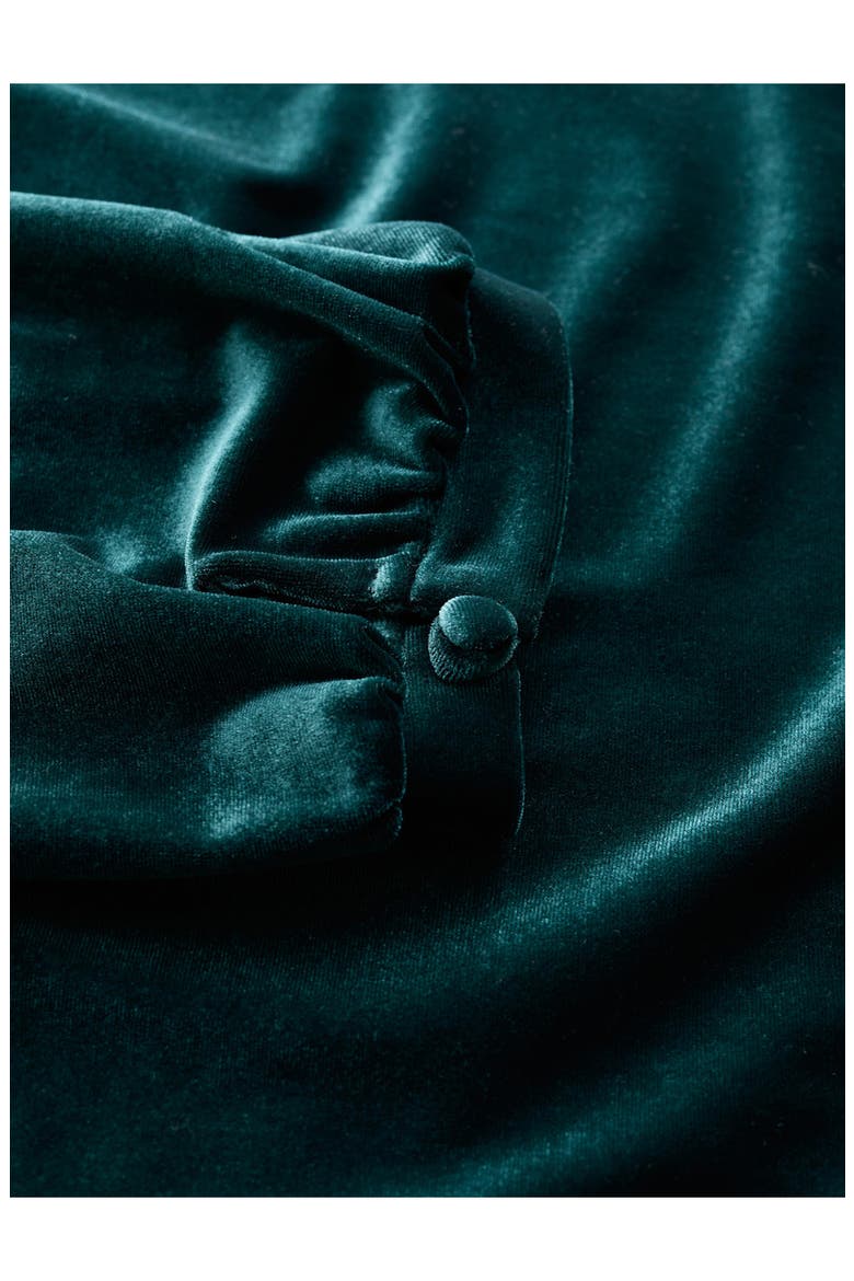 Oak Cottage Velour Dress, Alternate, color, DARK WRECKAGE