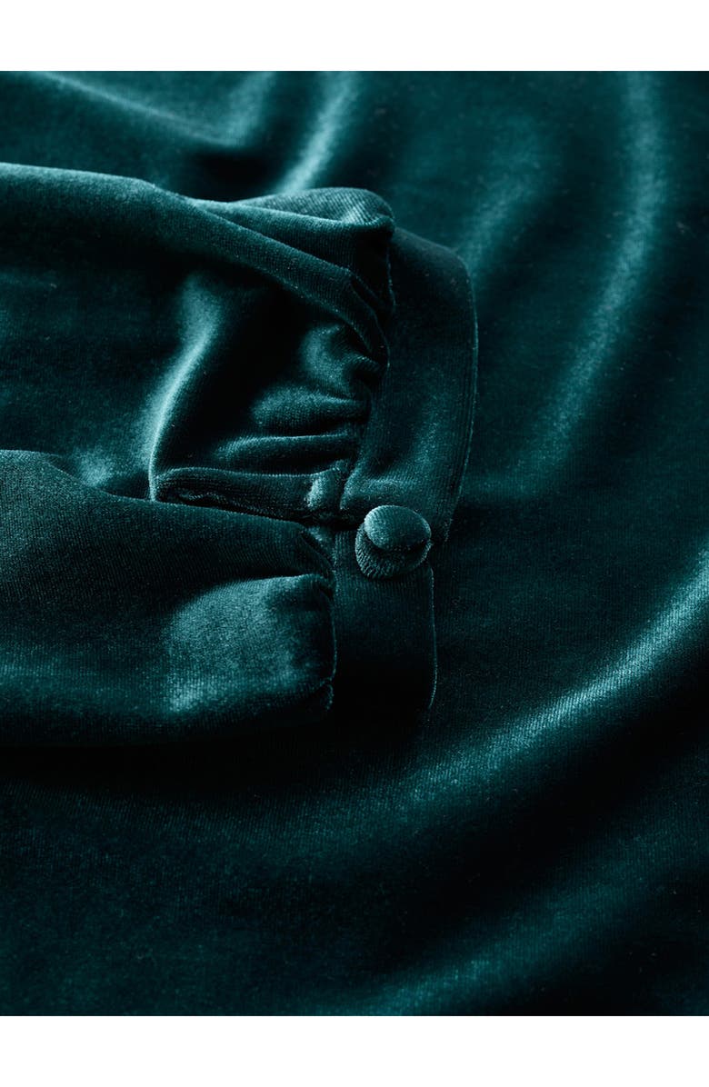 Seasalt Cornwall Oak Cottage Velour Dress, Alternate, color,