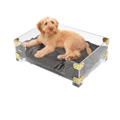 Haines 21.5" X 15.25" Small/medium Modern Lucite Velvet Pet Bed With Washable Cushion