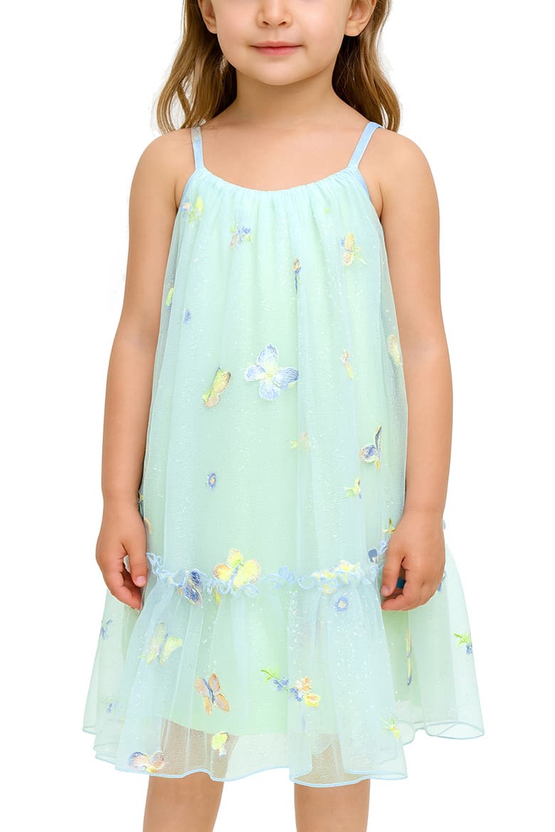 Kids' Embroidered Butterfly Tulle Dress, Alternate, color, BLUE MULTI