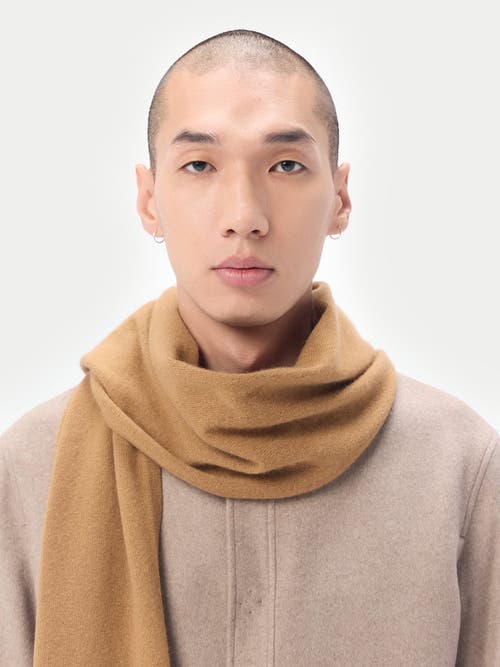 Gobi Mongolian Cashmere Cashmere Jersey Knit Scarf In Almond