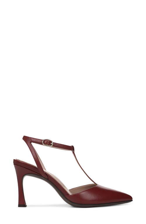 Naturalizer Astrid T-strap Pointed Toe Pump In Brown