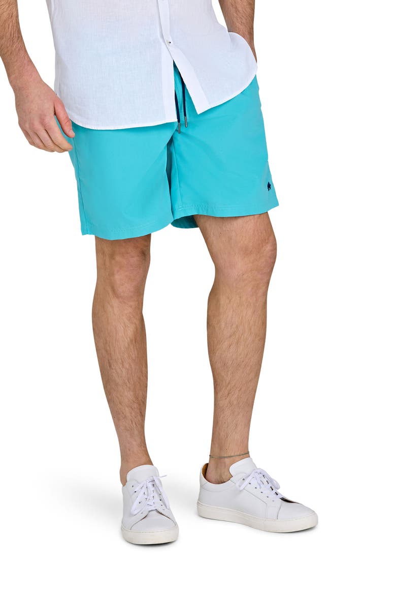 Swim Shorts, Alternate, color, Turquoise