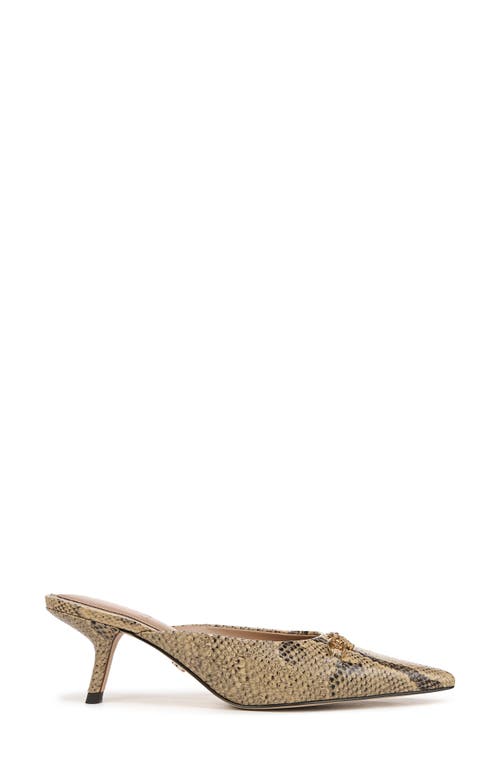 Sam Edelman Brynne Kitten Heel Mule Golden Tan Leather