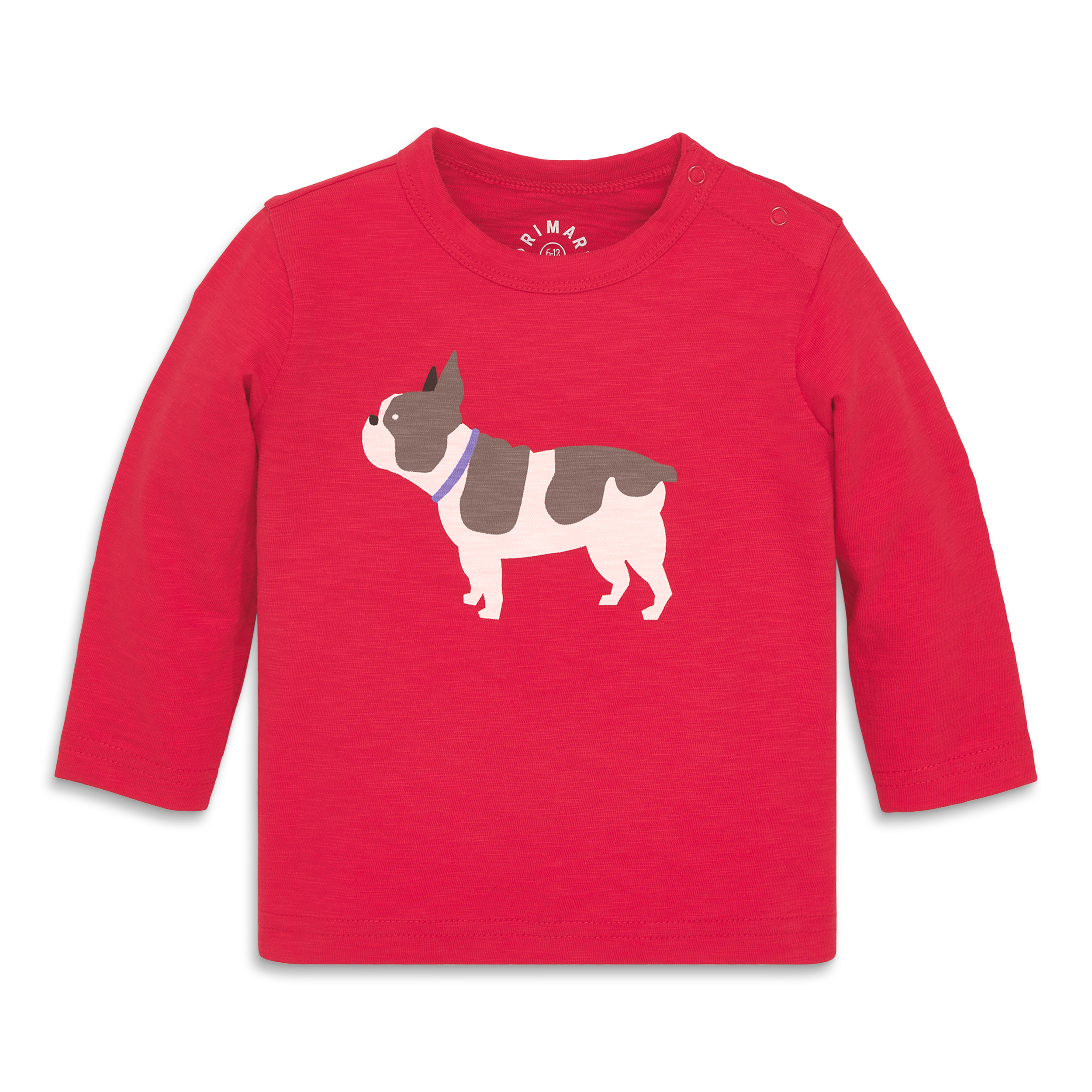 selected Lollipop Frenchie