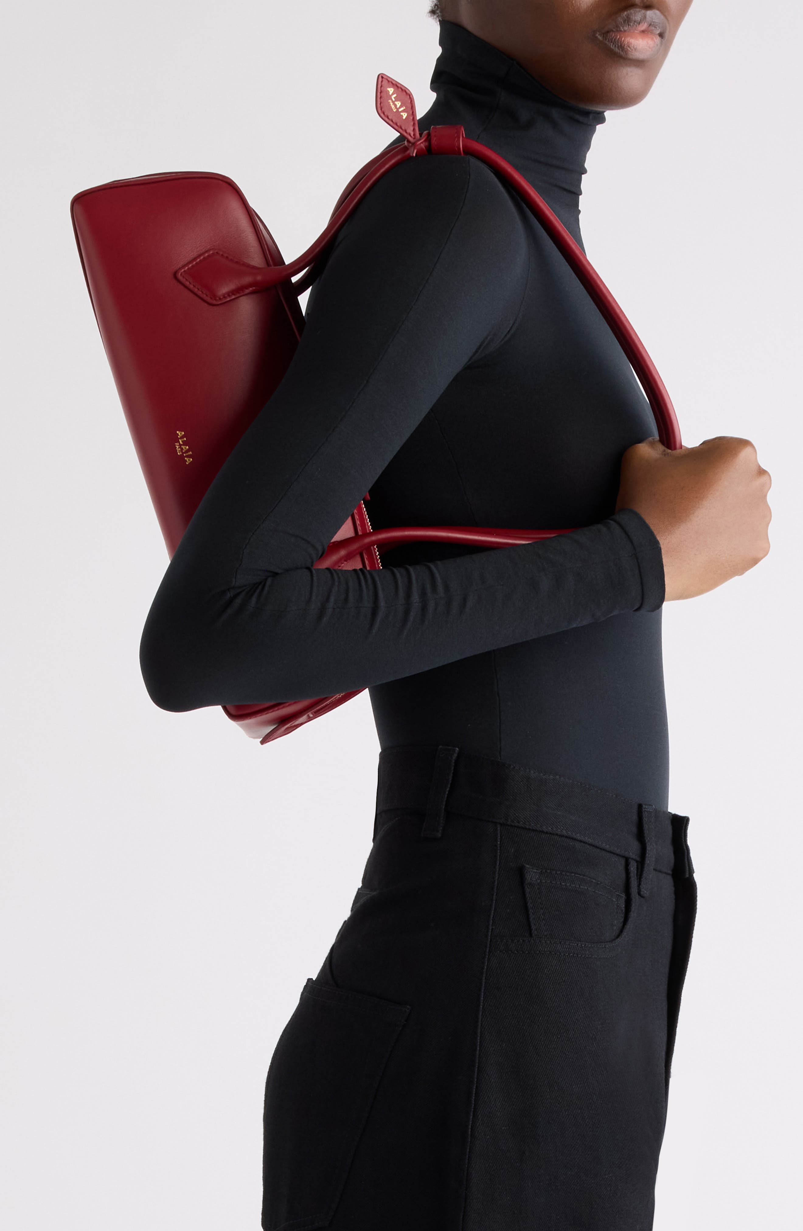 Medium Le Teckel East/West Shouder Bag, Alternate, color, ROUGE CARMIN U18