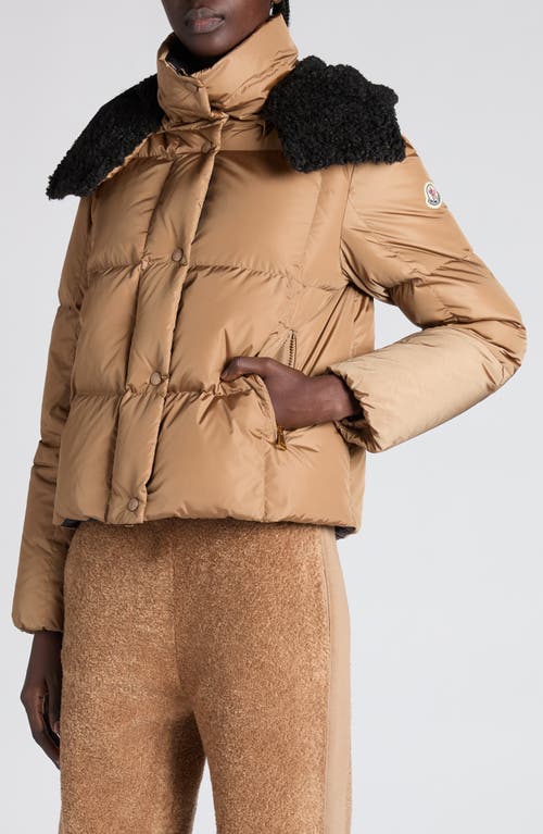 Moncler Castelnou Square-quilted Hooded Short Down Jacket Clothing In Brown