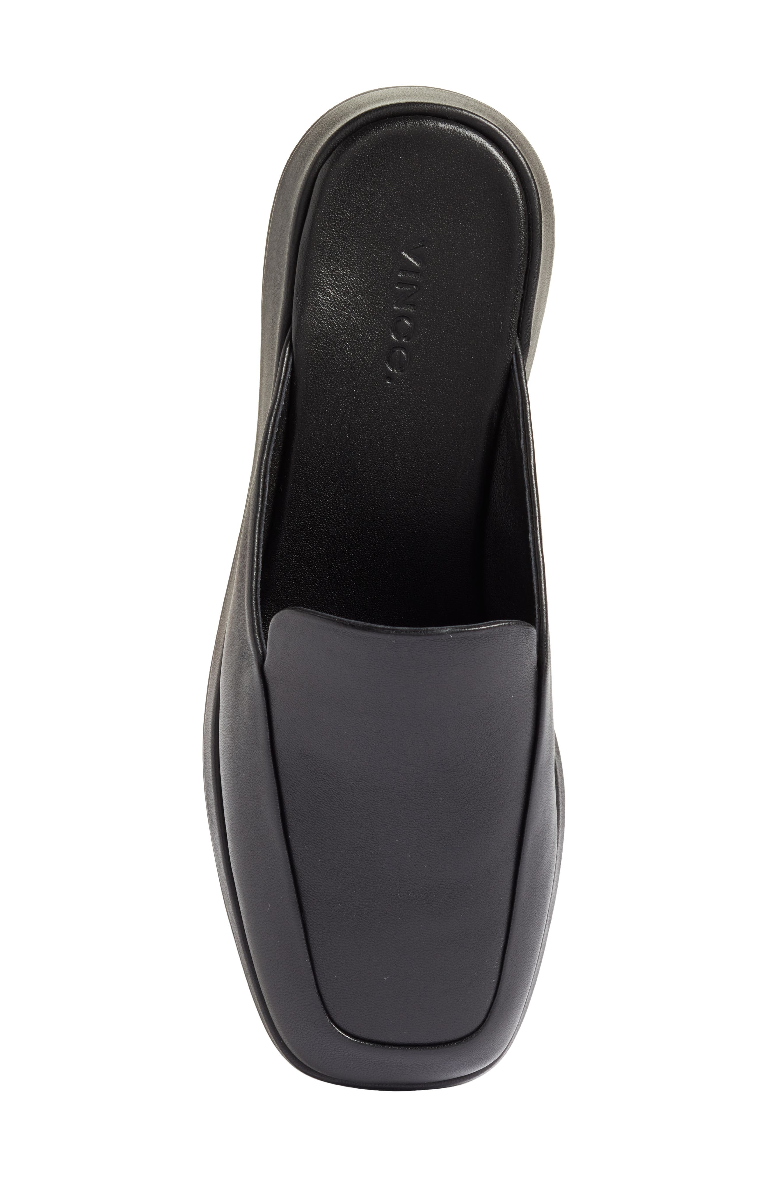 Vince Raquel Mule, Alternate, color, 