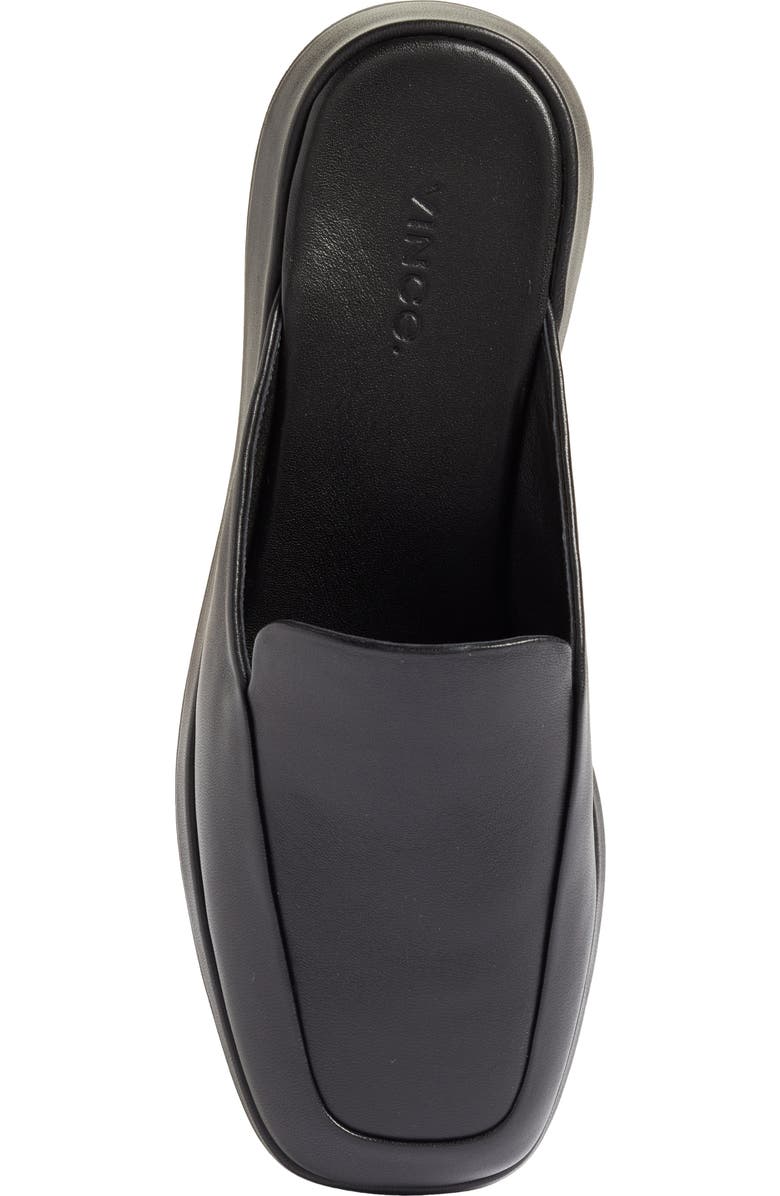 Vince Raquel Mule, Alternate, color,