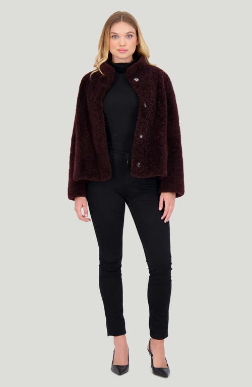 Gorski Cashmere Goat Shearling Jacket In Burgundy