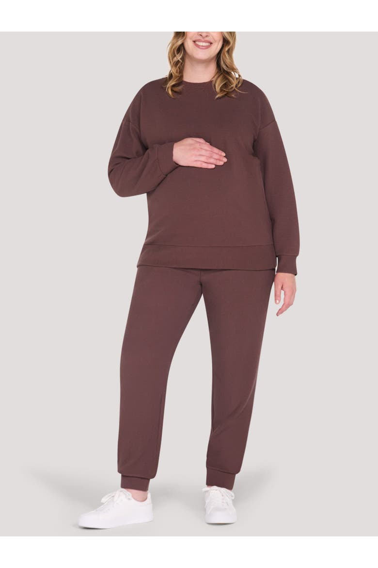 Crew Neck Long Sleeve Side Zip Tunic, Alternate, color, French Roast