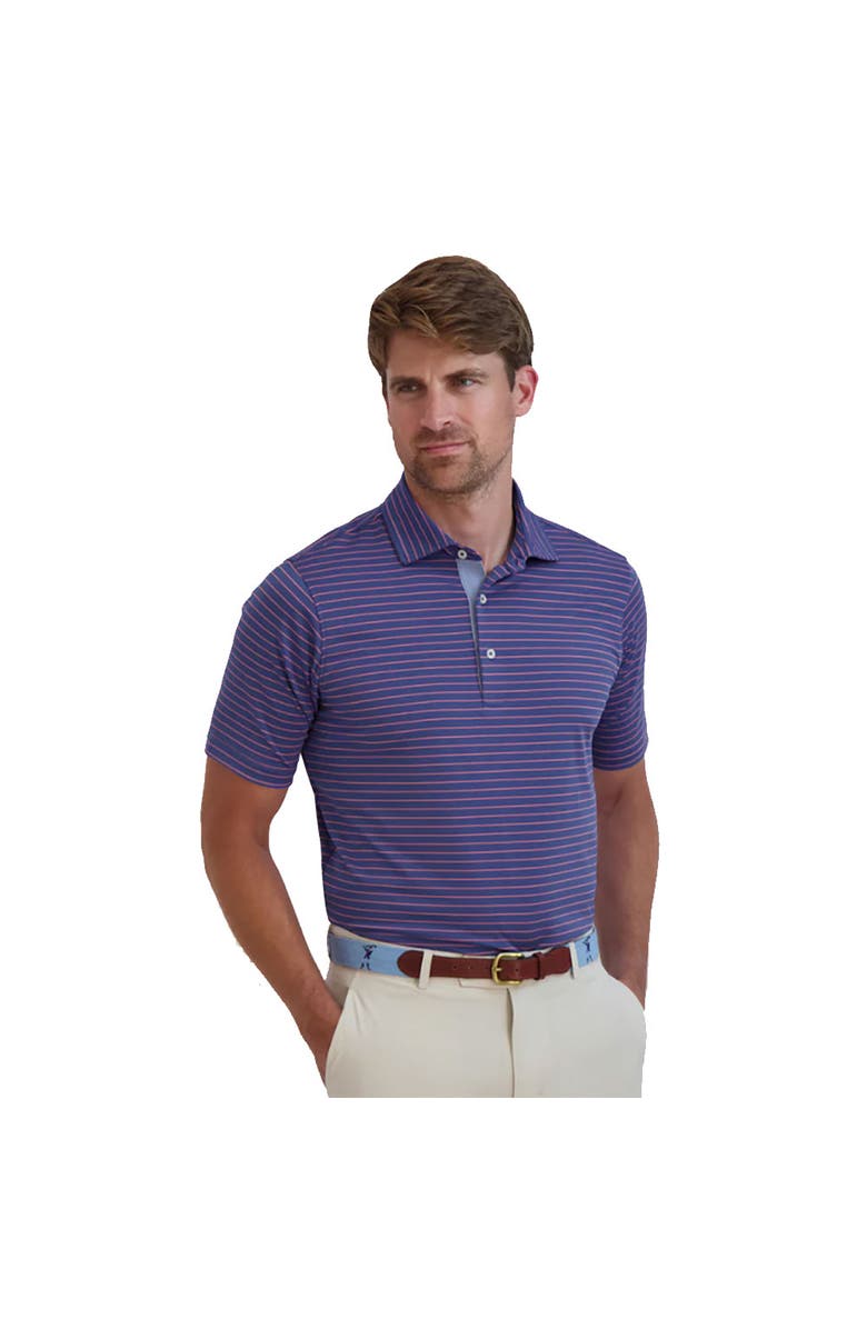 Fairway & Greene Michael Stripe Mens Golf Polo, Main, color, True Blue