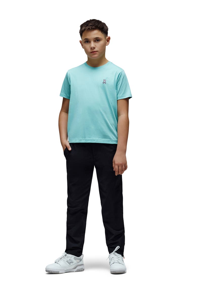 Kids' Classic Logo Embroidered Crewneck T-Shirt, Alternate, color, AQUA HAZE
