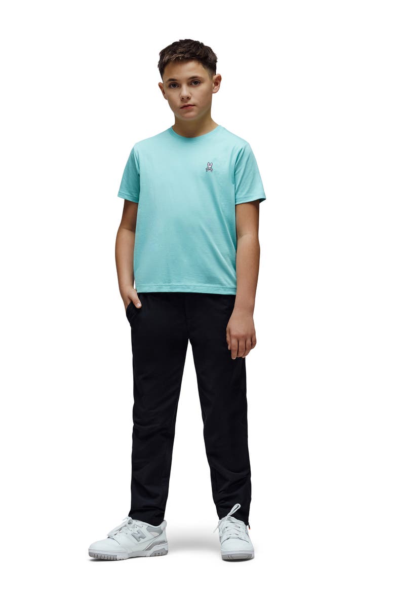 Psycho Bunny Kids
Classic Logo Embroidered Crewneck T-Shirt, Alternate, color, Aqua Haze