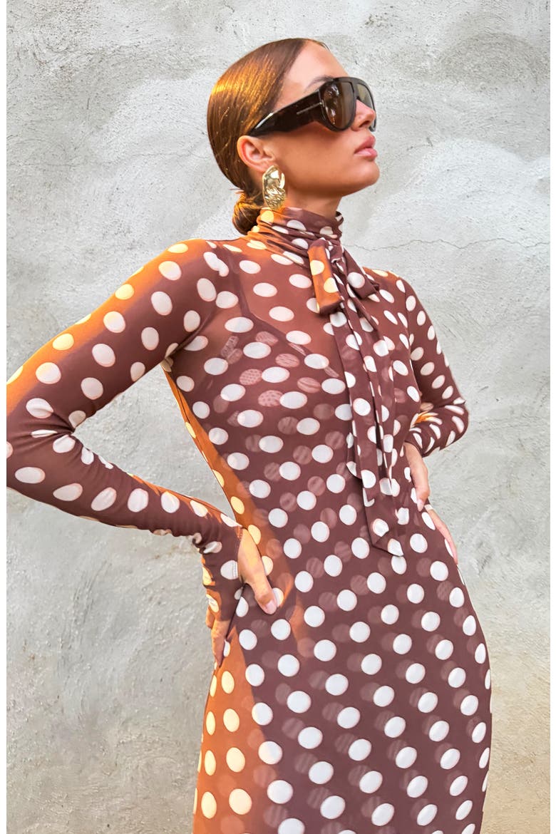 Bryony Long Sleeve Polka Dot Mesh Dress, Alternate, color, CHOCOLATE HALO DOT
